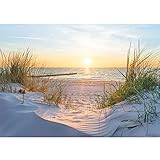 Runa Art Fototapete Strand Sonnenuntergang 352 x 250 cm Vlies Tapeten...