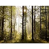 Fototapete Wald Landschaft Sonne 352 x 250 cm Vlies Tapeten Wandtapete...
