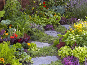 Farbengroher Garten mit Blumen und Gemüse