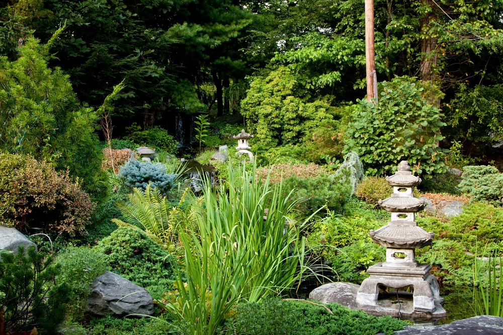 Japanischer Zen Garten