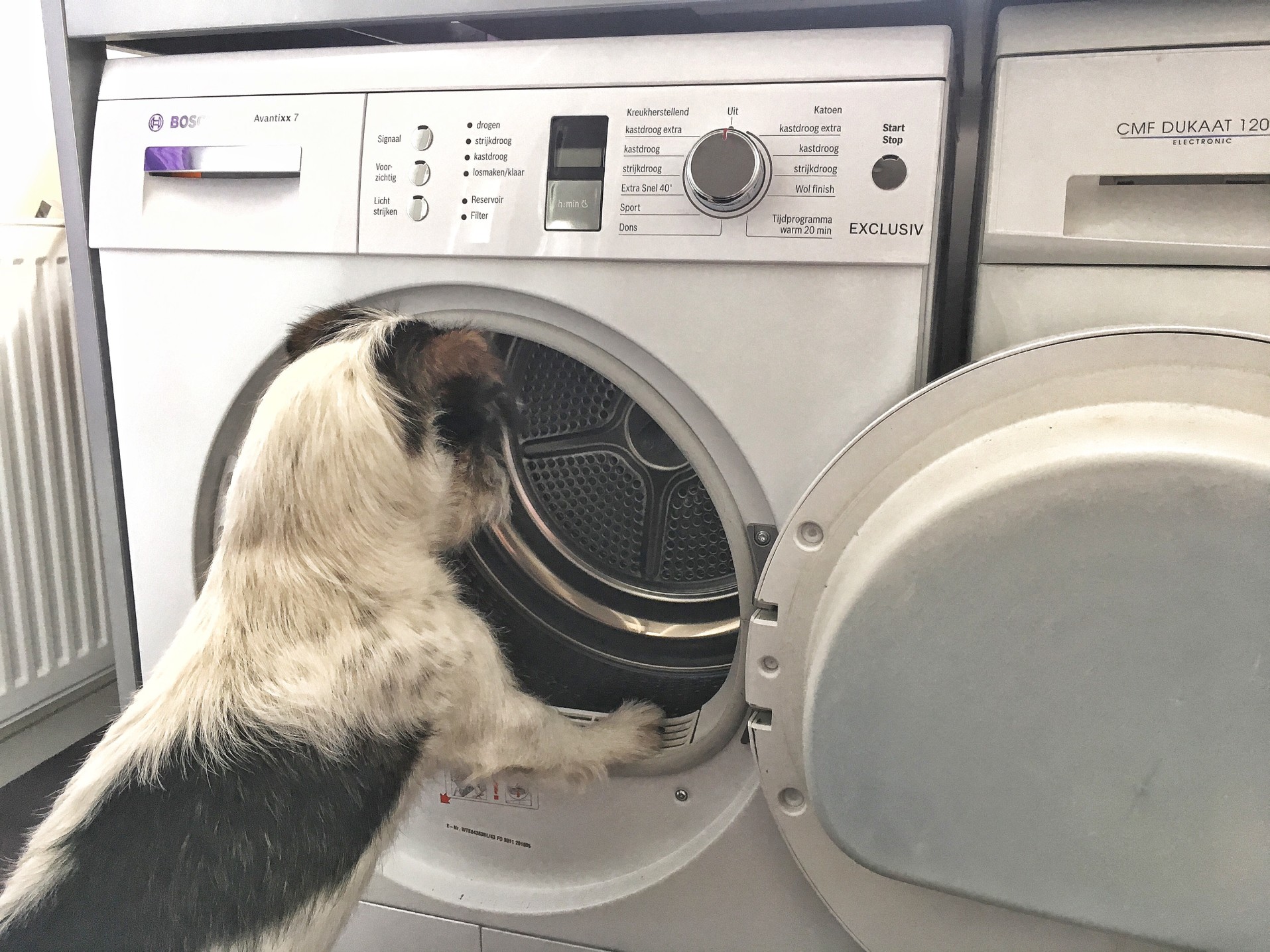 So kann man den Kauf einer neuen Waschmaschine finanzieren. Foto hannievanbaarle via Twenty20